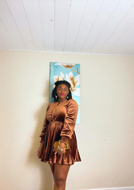 Miranda Velvet Mini Dress