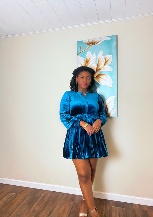 Miranda Velvet Mini Dress